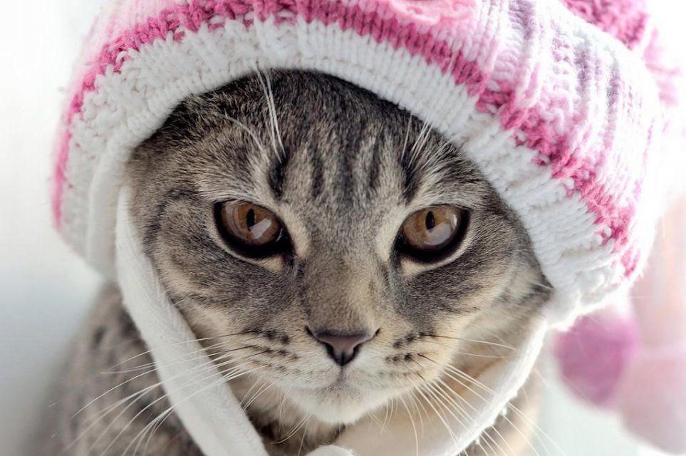 Лето, ты ли это? Хмурое небо и холод ждут орловчан в первый августовский день