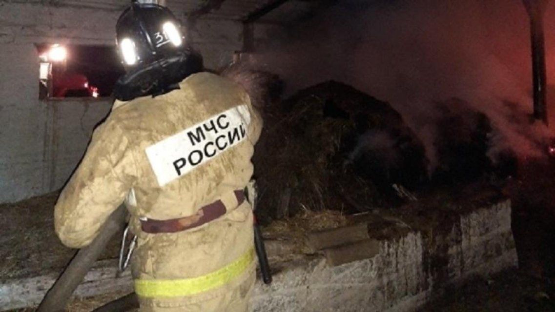 Ночью в Орловской области сгорели три тонны ячменя и 120 тюков сена