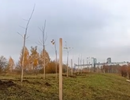 Мэр Орла Юрий Парахин пообещал высадить 1,5 тысячи деревьев 