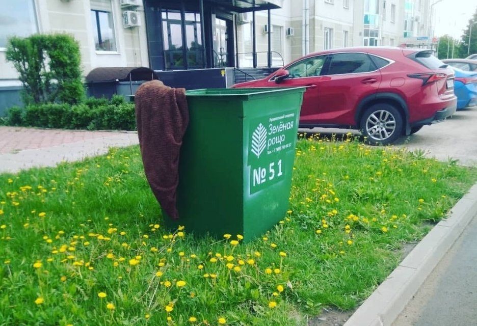 Фотофакт: в Орле нашли место для мусорного контейнера на газоне