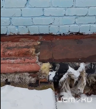 Орловчанка пожаловалась в соцсетях на состояние теплотрассы