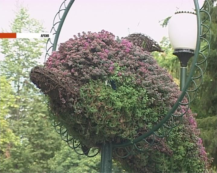 События недели