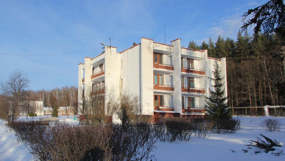 Стало известно, когда продолжит работу орловский детский лагерь «Ветерок»