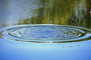 В Орловской области в пруду утонул семилетний мальчик