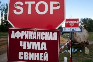 В Хотынецком природном парке нашли АЧС