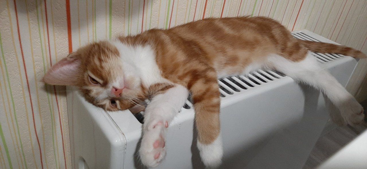 Сегодня несколько орловских домов останутся без отопления