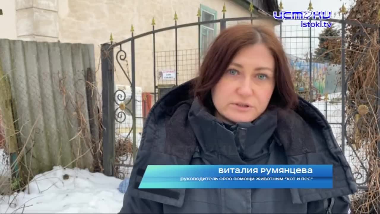 Пушистики, которые ждут новогоднего чуда. Вместе с волонтерами мы съездили в приют в Орле, где, к несчастью, без хозяина осталось более десятка друзей...