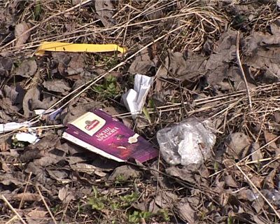 Экологический субботник