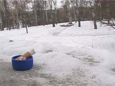 Дворянка под контролем....