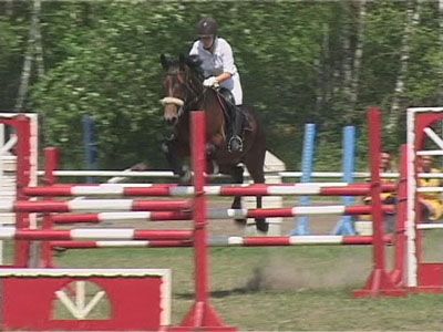 И только лошади летают вдохновенно