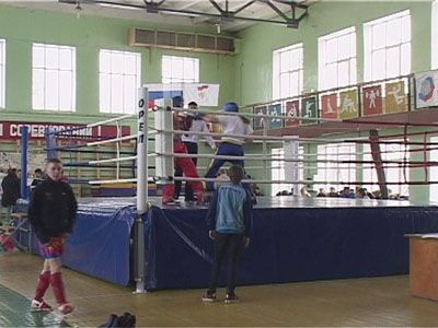 Первенство по кикбоксингу