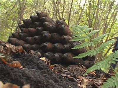 Кромской район мог взлететь на воздух?