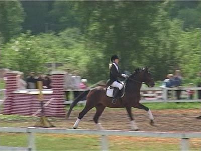 Соревнования на ипподроме