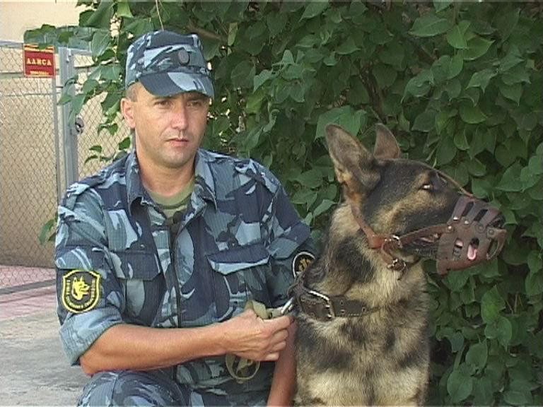 Лучшие кинологи — орловские кинологи