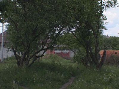 Cпоры в знаменке