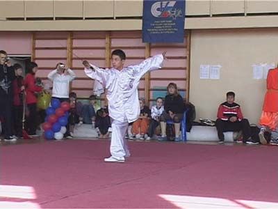 Международный турнир по ушу