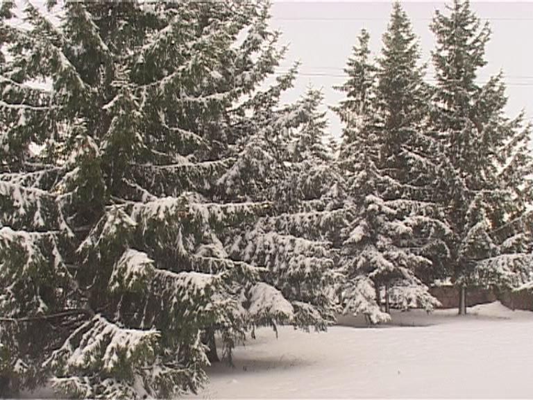 Очередные сюрпризы погоды