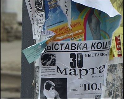 Город утопает в рекламных объявлениях