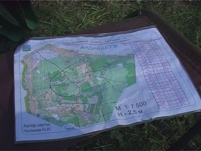 Чемпионат области по ориентированию