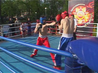 Матчевая встреча по кикбобсингу.