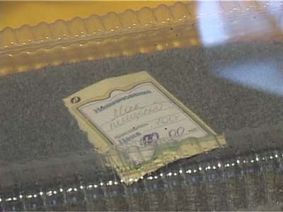 Изъята крупная партия засоренного мака