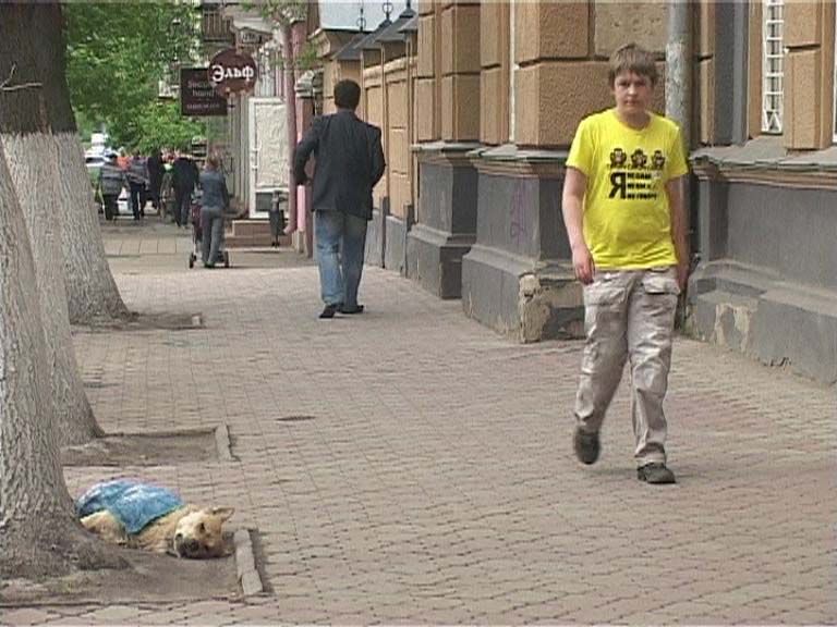 В Орле собак отстреливают белым днем....