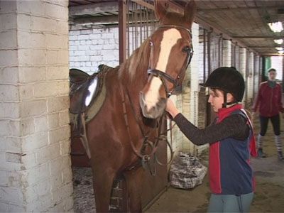 Конный спорт