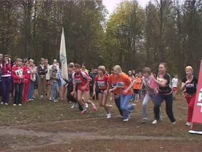 Спорт: кросс