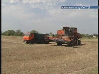 на полях воруют