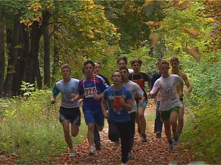 Кросс по лесу