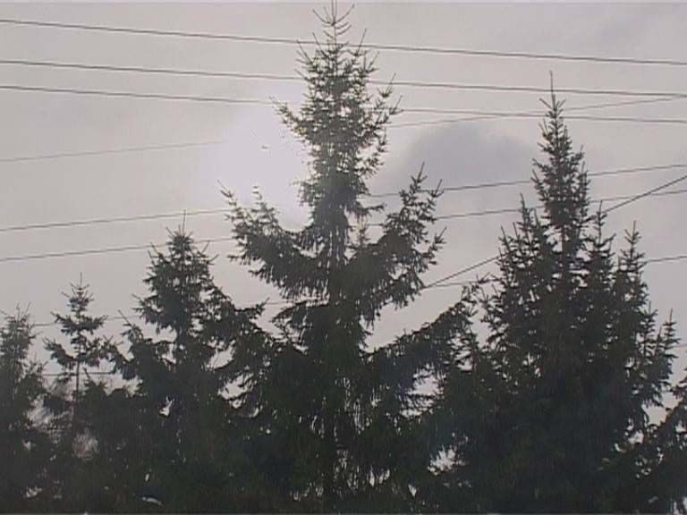 Ураган как сон — стороной пройдет