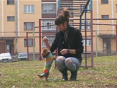 Клещи прилетели