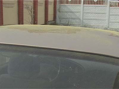 Город позеленел