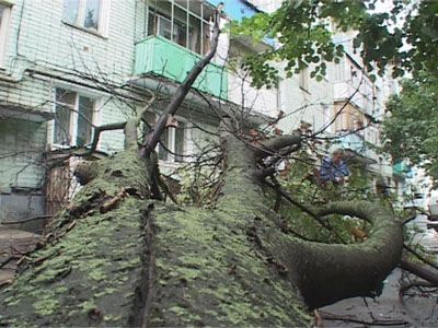 Капризы природы