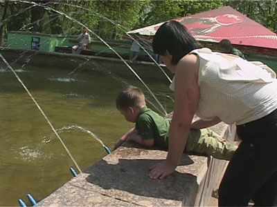 Аномально теплая погода....