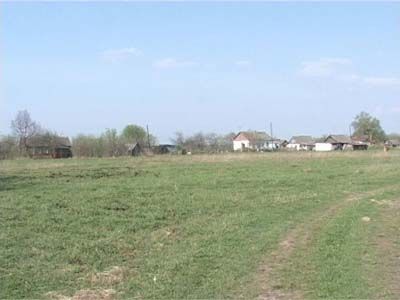 Россельхознадзор борется с пестицидами