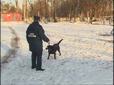 День спасателя