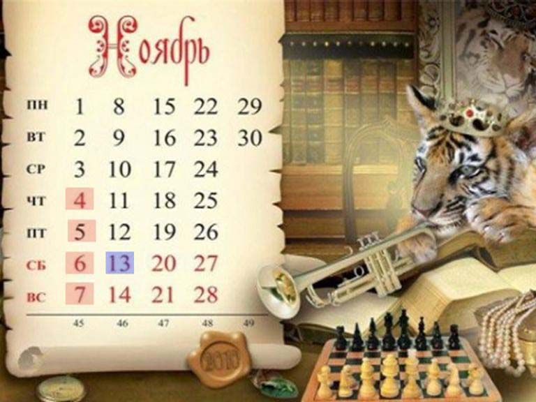 Каникулы для взрослых