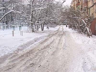 Орел в снегу