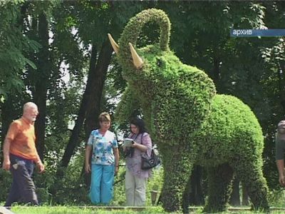 Почем красота для народа?