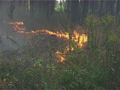 Откуда огонь? — Из лесу вестимо