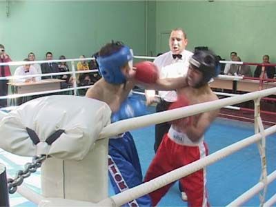 Кубок Федерации по кикбоксингу