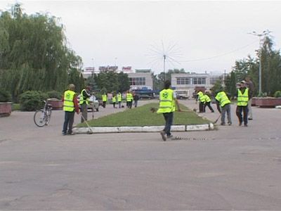 Экологические отряды