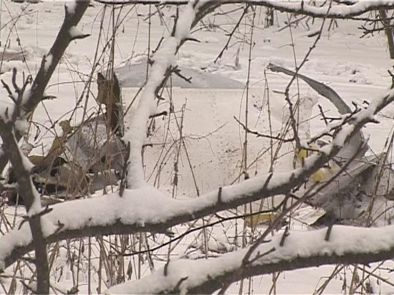 На границе Тульской и Орловской областей упал самолет