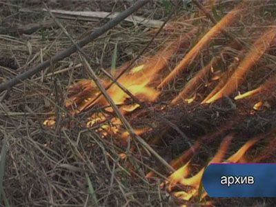 Пожары на полях