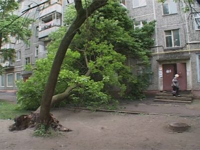 Дерево упало на дом