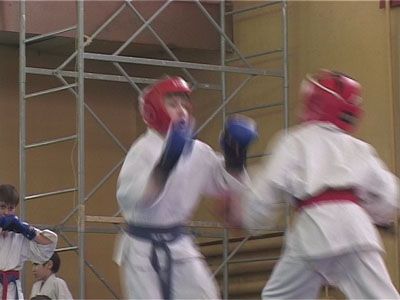 Рукопашный бой