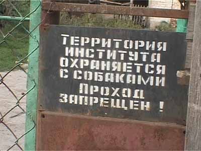 Собачья жизнь продолжается...