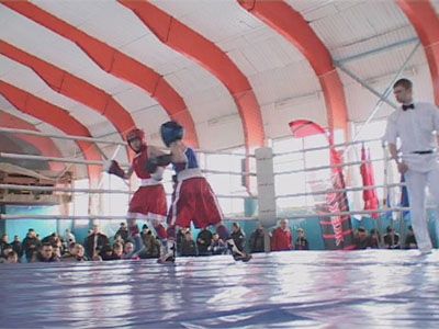 Турнир по боксу начался