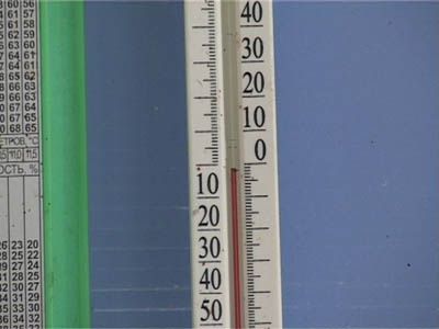 Мерзнут не только люди, но фрукты...